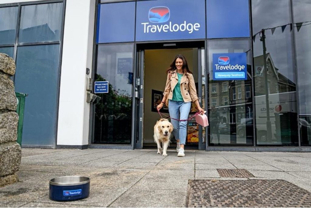 Hoteles Pet Friendly: Disfruta Vacaciones Inolvidables con Tu Mascota