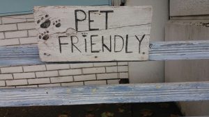 Hoteles Pet Friendly