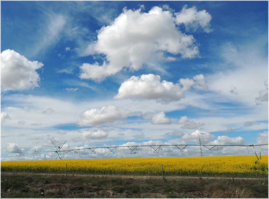 Campos de Castilla