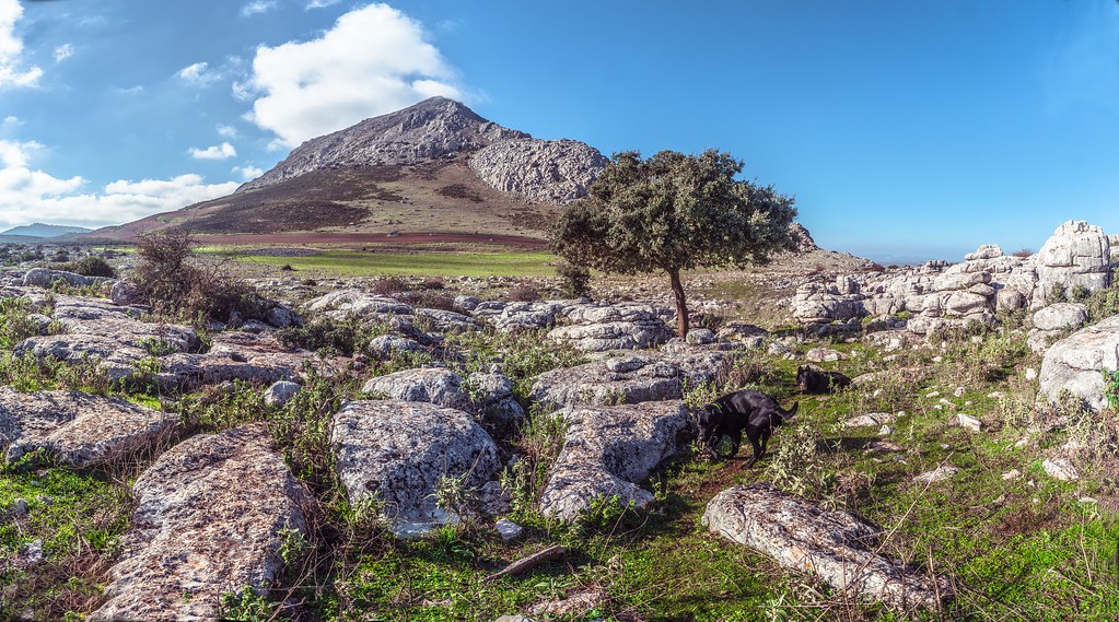 Torcal