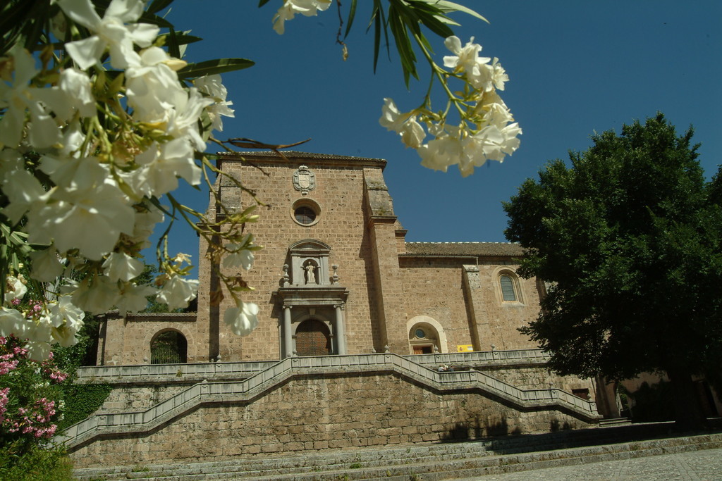 Albergue ‘San Francisco de Asís’ Fundación Ademar