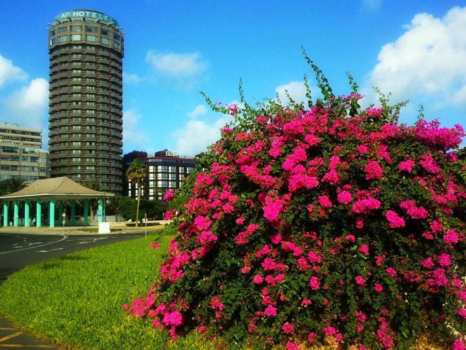 AC Gran Canaria