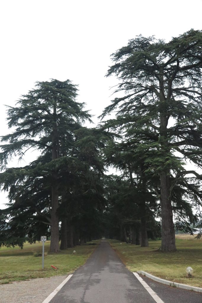 Château Saint-Marcel