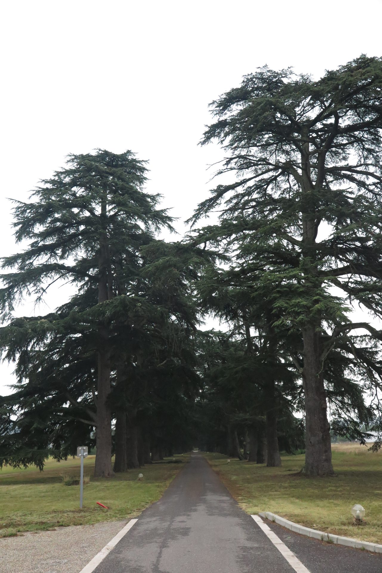 Château Saint-Marcel