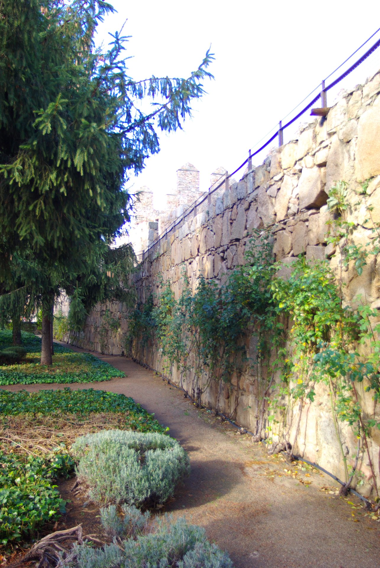 Parador Nacional Raimundo de Borgoña