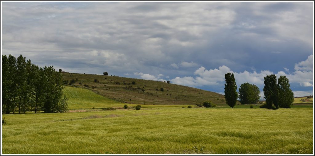 Campos de Castilla