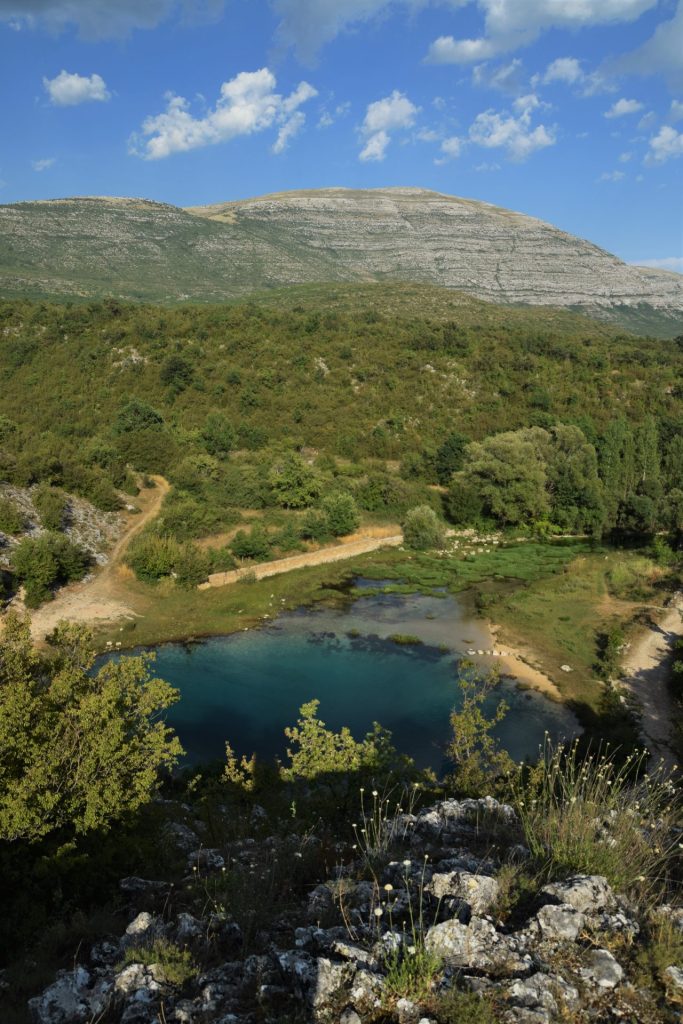 Cetina
