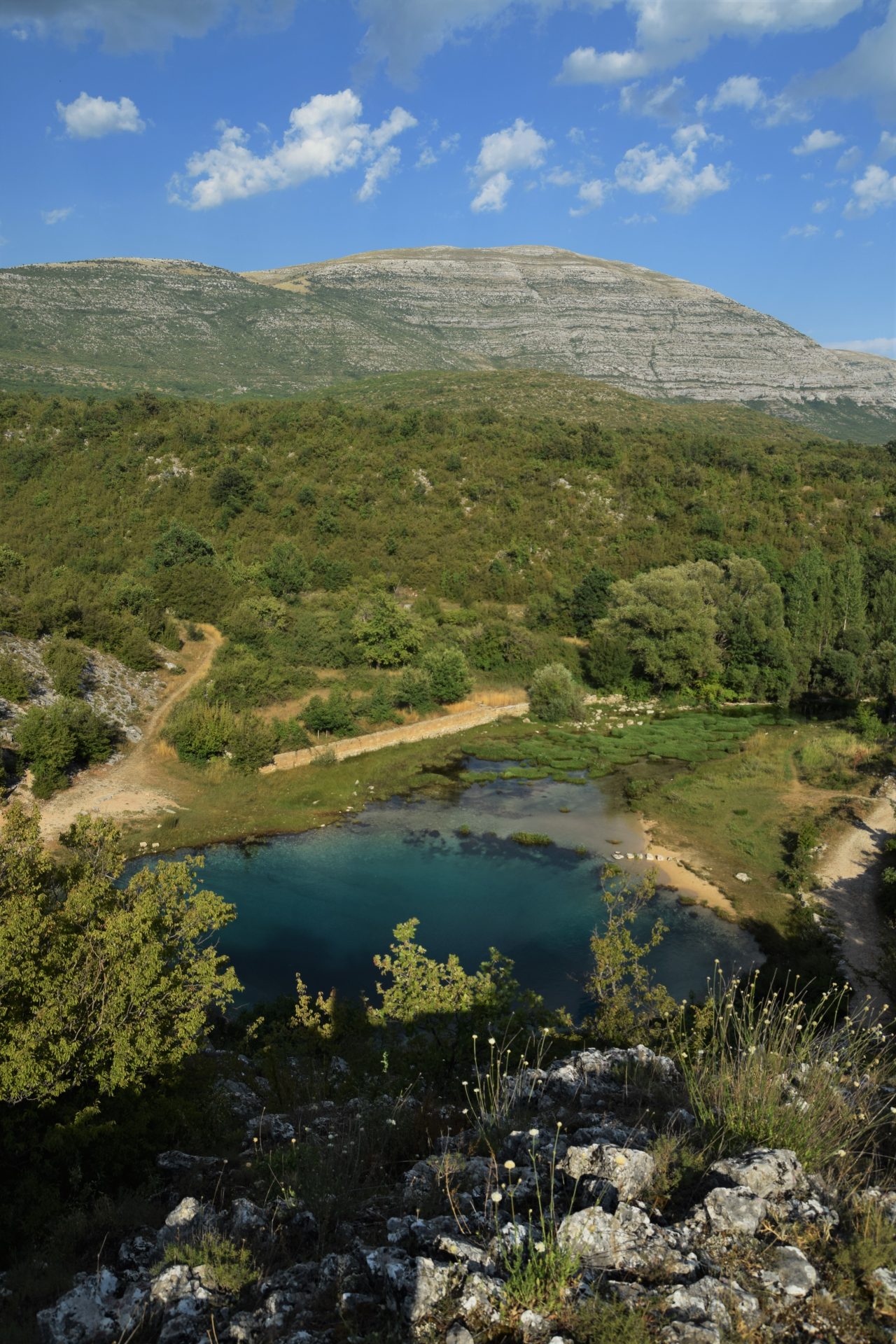 Cetina