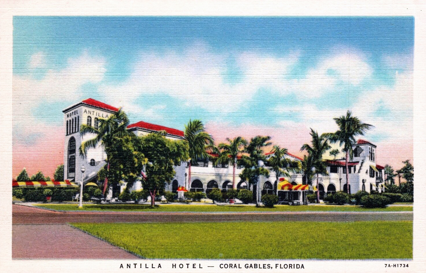 Coral