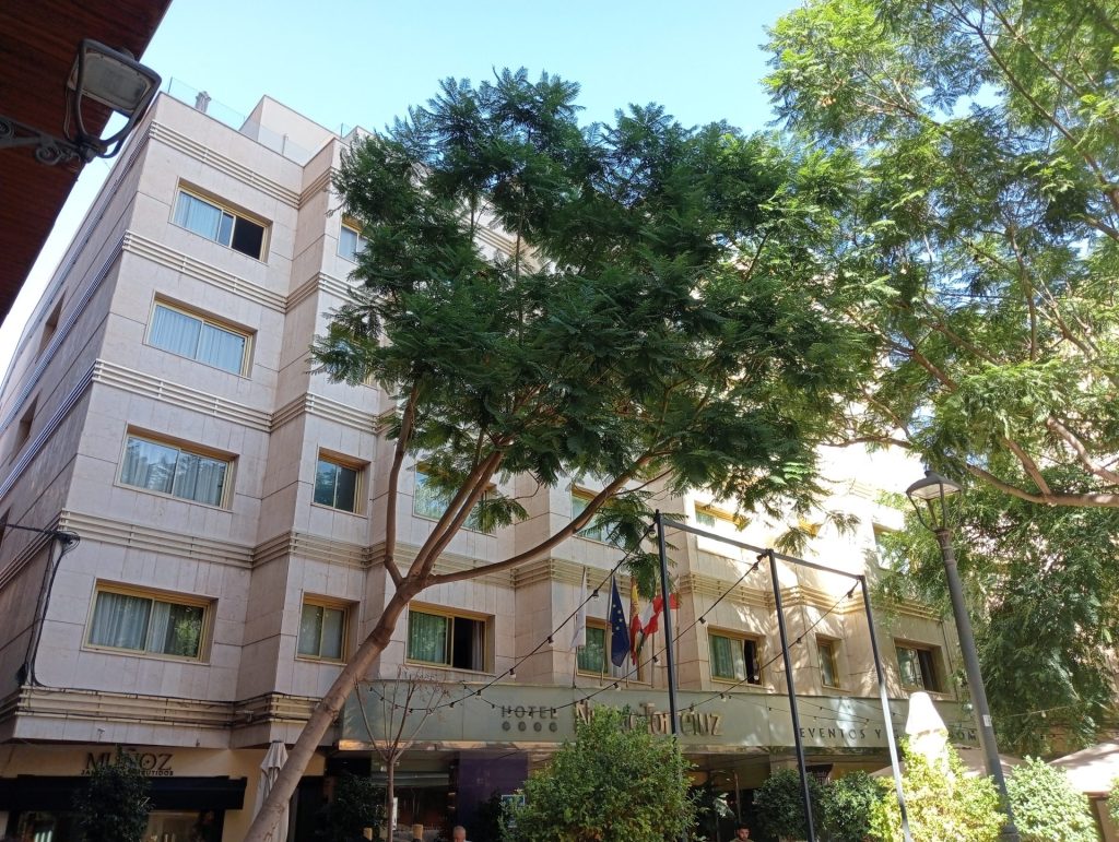Nuevo Torreluz Hotel