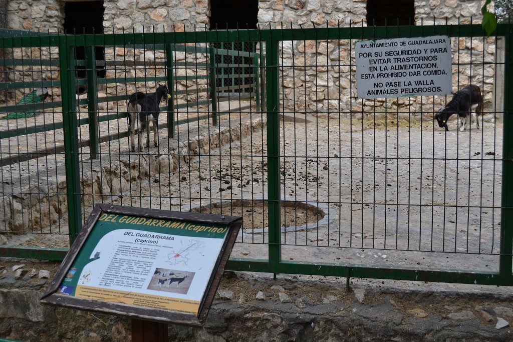 Zoo municipal de Guadalajara - Zoos y animales en Guadalajara