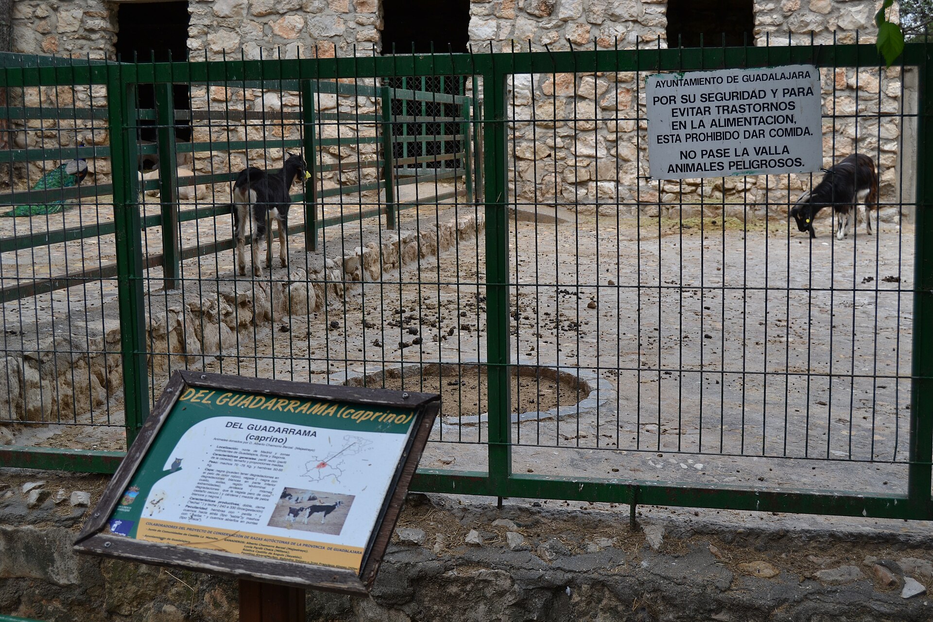Zoo municipal de Guadalajara - qué ver en Guadalajara