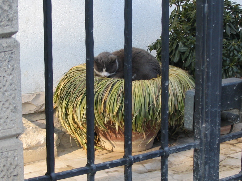 El Pajar