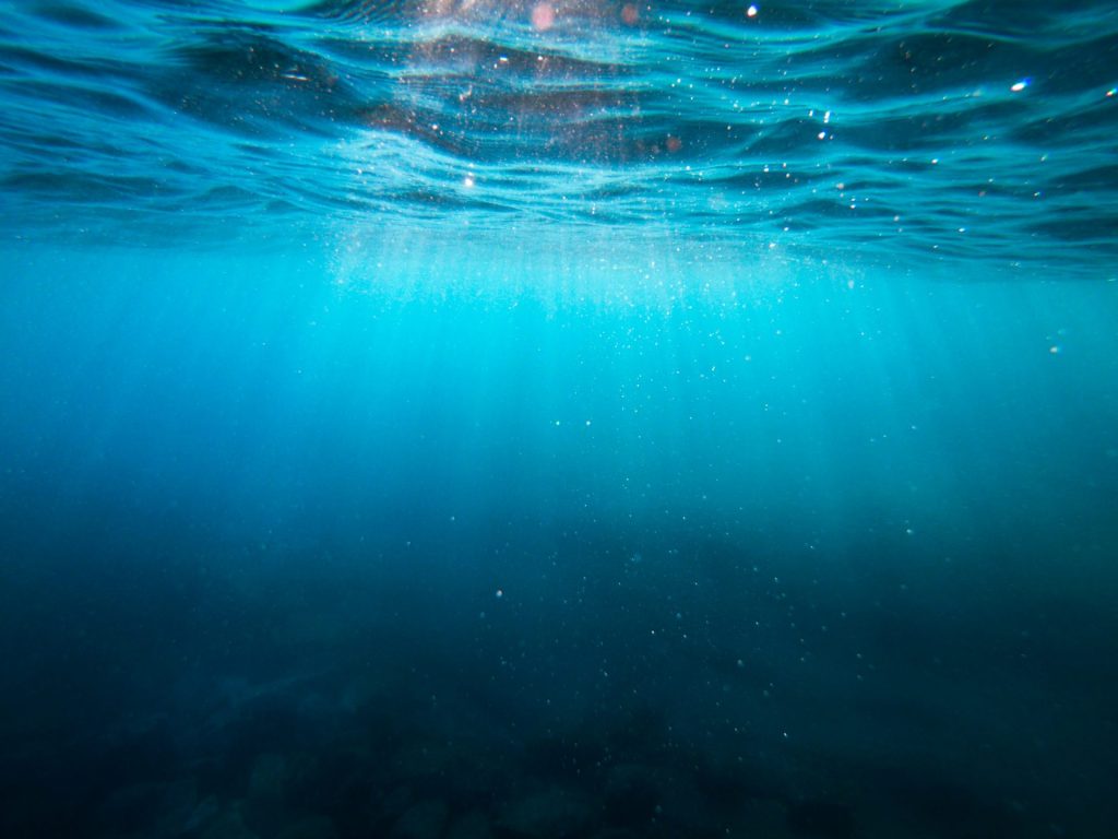 Explora el mar